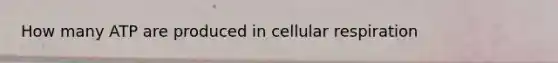 How many ATP are produced in cellular respiration