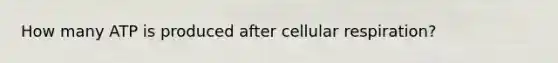 How many ATP is produced after cellular respiration?