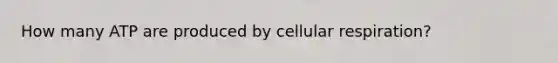 How many ATP are produced by cellular respiration?