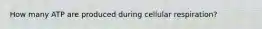 How many ATP are produced during cellular respiration?