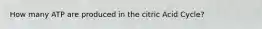 How many ATP are produced in the citric Acid Cycle?