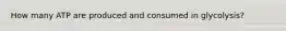 How many ATP are produced and consumed in glycolysis?