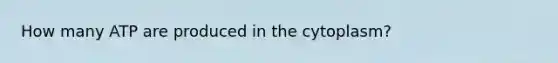 How many ATP are produced in the cytoplasm?