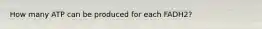 How many ATP can be produced for each FADH2?