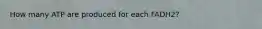 How many ATP are produced for each FADH2?