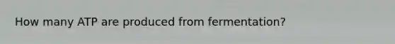 How many ATP are produced from fermentation?