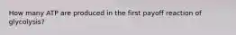 How many ATP are produced in the first payoff reaction of glycolysis?