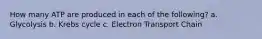 How many ATP are produced in each of the following? a. Glycolysis b. Krebs cycle c. Electron Transport Chain