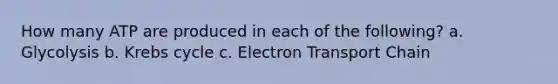 How many ATP are produced in each of the following? a. Glycolysis b. Krebs cycle c. Electron Transport Chain