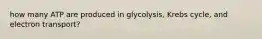 how many ATP are produced in glycolysis, Krebs cycle, and electron transport?