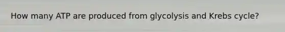 How many ATP are produced from glycolysis and Krebs cycle?