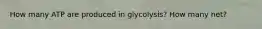 How many ATP are produced in glycolysis? How many net?