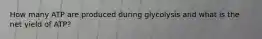 How many ATP are produced during glycolysis and what is the net yield of ATP?