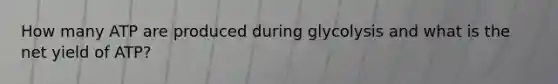 How many ATP are produced during glycolysis and what is the net yield of ATP?