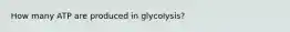 How many ATP are produced in glycolysis?