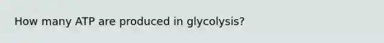 How many ATP are produced in glycolysis?