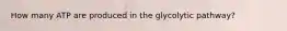 How many ATP are produced in the glycolytic pathway?