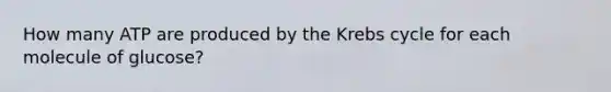 How many ATP are produced by the <a href='https://www.questionai.com/knowledge/kqfW58SNl2-krebs-cycle' class='anchor-knowledge'>krebs cycle</a> for each molecule of glucose?