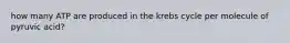 how many ATP are produced in the krebs cycle per molecule of pyruvic acid?