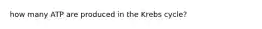 how many ATP are produced in the Krebs cycle?