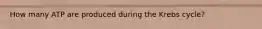 How many ATP are produced during the Krebs cycle?