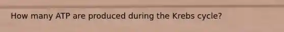 How many ATP are produced during the <a href='https://www.questionai.com/knowledge/kqfW58SNl2-krebs-cycle' class='anchor-knowledge'>krebs cycle</a>?