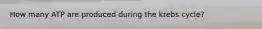 How many ATP are produced during the krebs cycle?