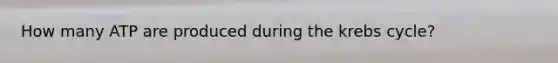 How many ATP are produced during the krebs cycle?