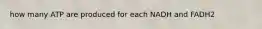 how many ATP are produced for each NADH and FADH2