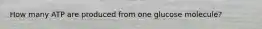 How many ATP are produced from one glucose molecule?