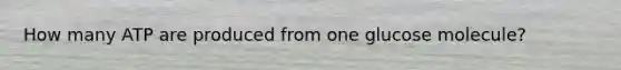 How many ATP are produced from one glucose molecule?