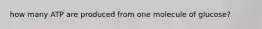 how many ATP are produced from one molecule of glucose?