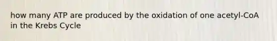 how many ATP are produced by the oxidation of one acetyl-CoA in the Krebs Cycle