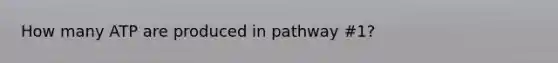 How many ATP are produced in pathway #1?