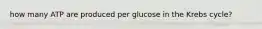 how many ATP are produced per glucose in the Krebs cycle?