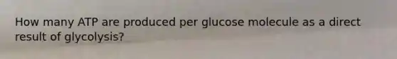 How many ATP are produced per glucose molecule as a direct result of glycolysis?