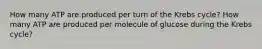 How many ATP are produced per turn of the Krebs cycle? How many ATP are produced per molecule of glucose during the Krebs cycle?