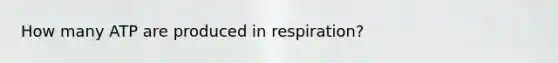 How many ATP are produced in respiration?