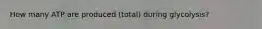 How many ATP are produced (total) during glycolysis?