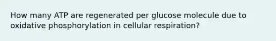 How many ATP are regenerated per glucose molecule due to oxidative phosphorylation in cellular respiration?