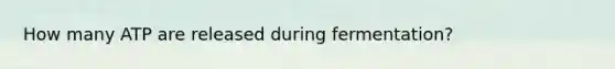 How many ATP are released during fermentation?