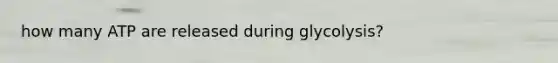 how many ATP are released during glycolysis?