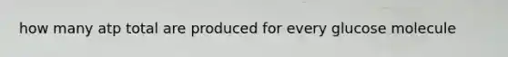 how many atp total are produced for every glucose molecule