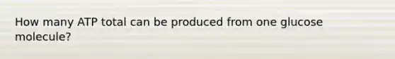 How many ATP total can be produced from one glucose molecule?