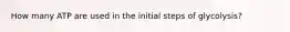 How many ATP are used in the initial steps of glycolysis?