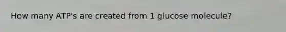 How many ATP's are created from 1 glucose molecule?