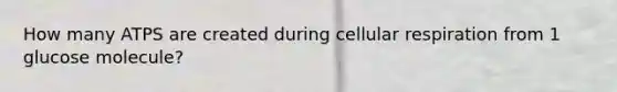 How many ATPS are created during cellular respiration from 1 glucose molecule?