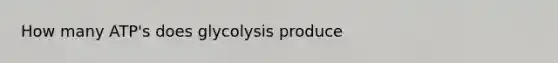 How many ATP's does glycolysis produce