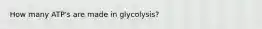 How many ATP's are made in glycolysis?