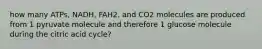 how many ATPs, NADH, FAH2, and CO2 molecules are produced from 1 pyruvate molecule and therefore 1 glucose molecule during the citric acid cycle?